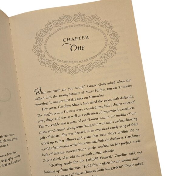 Sunflower Summer Paperback Cozy Mystery 2012 Nantucket Dreams Series - Picture 9 of 10